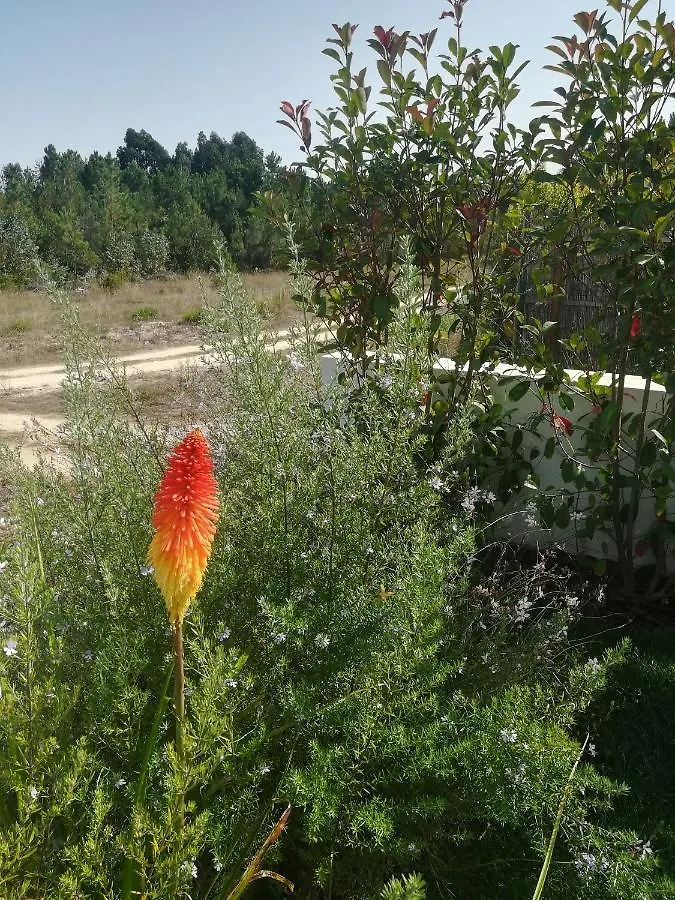 Country house Vila Lira Aljezur